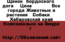 Щенок  бордоского  дога. › Цена ­ 60 000 - Все города Животные и растения » Собаки   . Хабаровский край,Комсомольск-на-Амуре г.